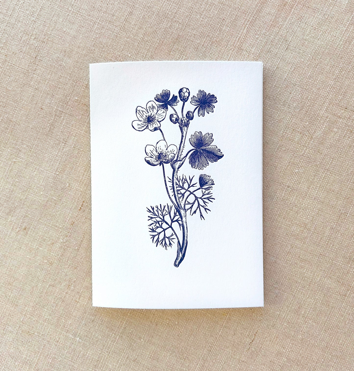 Water Flower Letterpress Card Set
