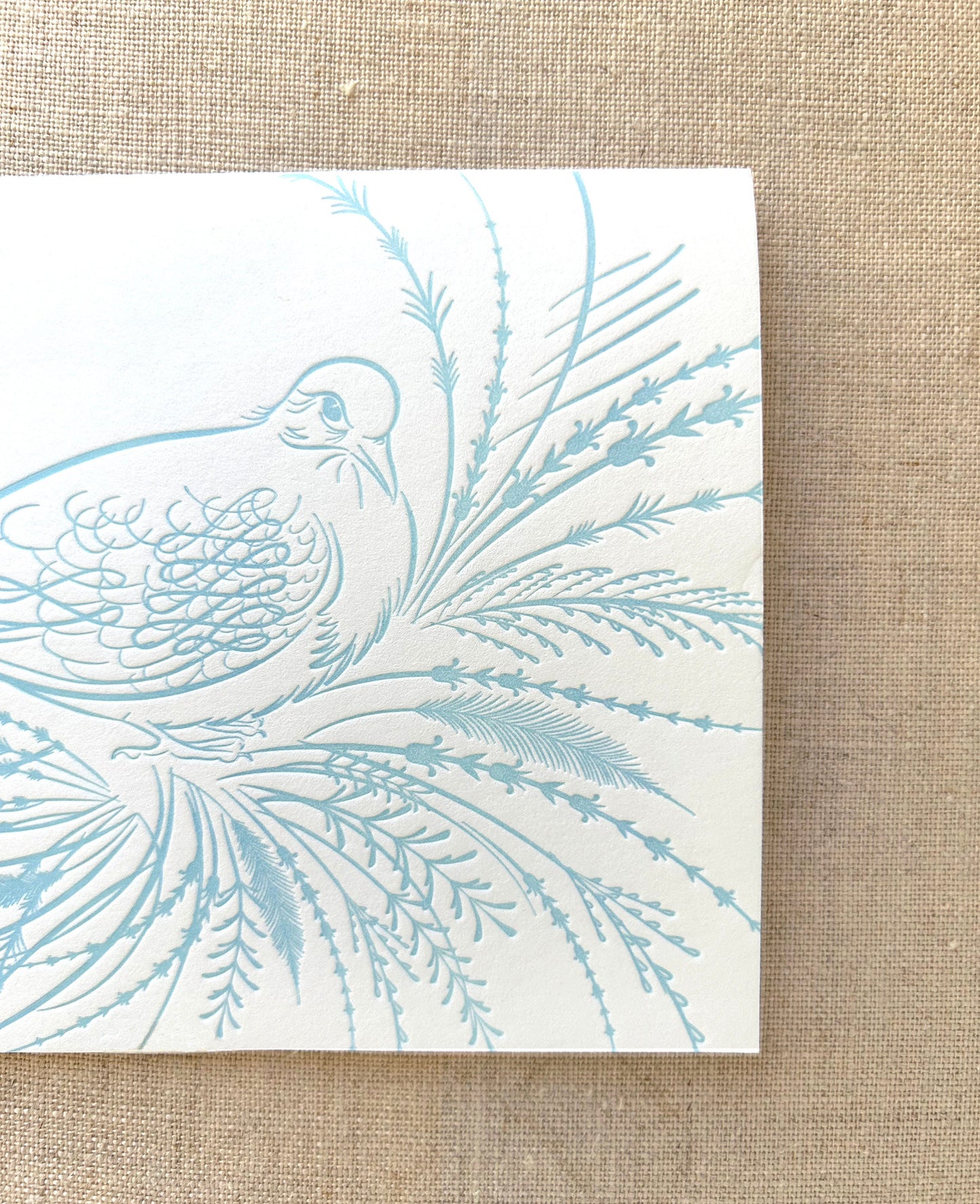 Calligraphy Dove Letterpress Card Set
