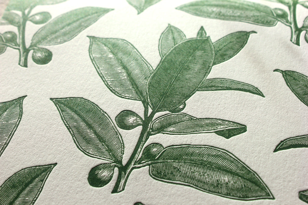 Holiday Branches Letterpress Card Set