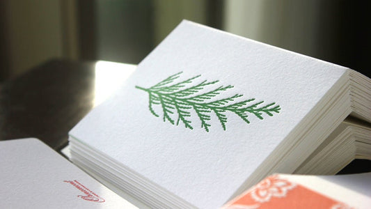 Cedar Pine Letterpress Card Set