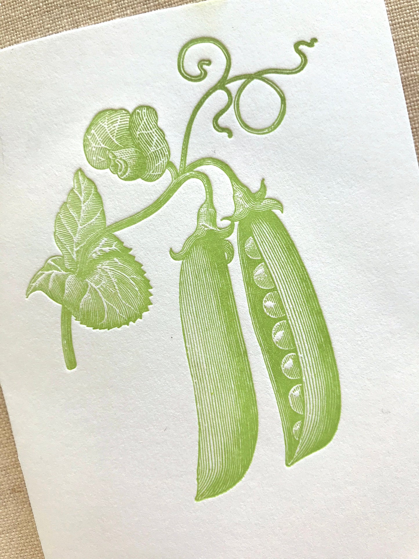 Pea pods Letterpress Card Set