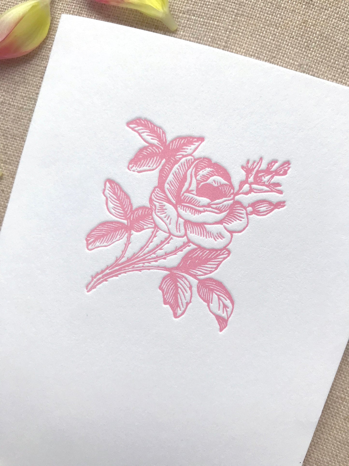 Rosa Rugosa Letterpress Card Set