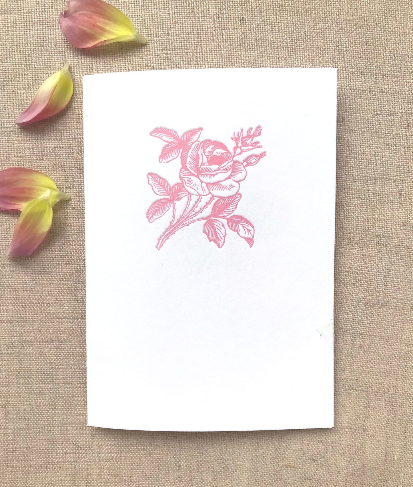 Rosa Rugosa Letterpress Card Set