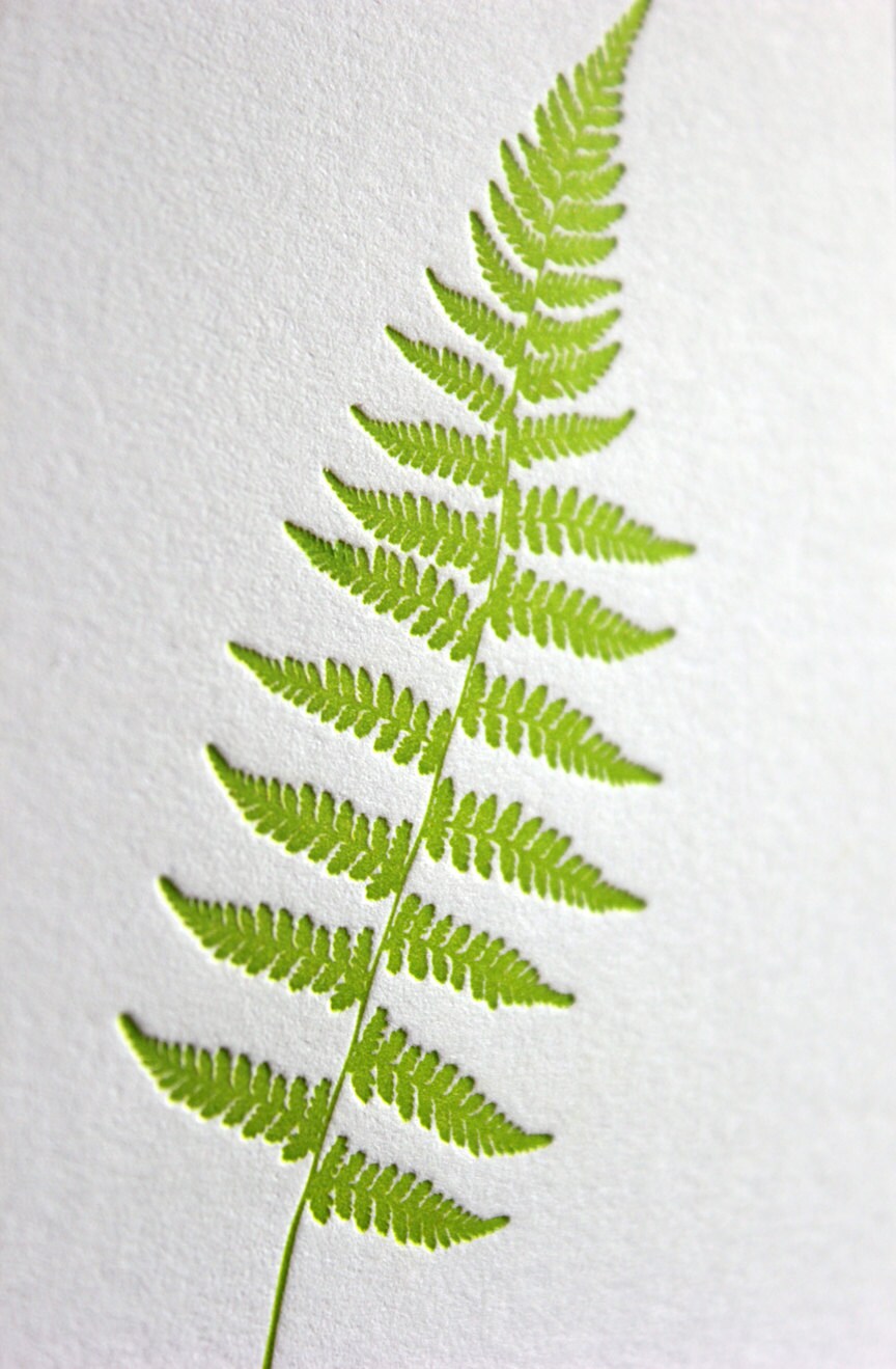 Fern Letterpress Card Set