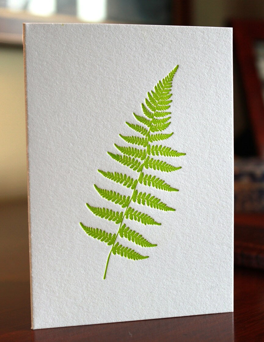 Fern Letterpress Card Set