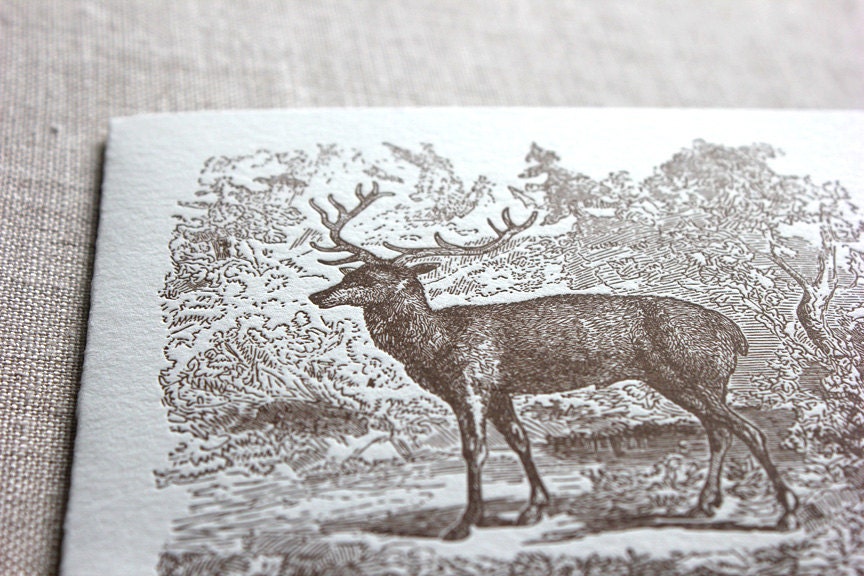 Deer Engraving Letterpress Card Set