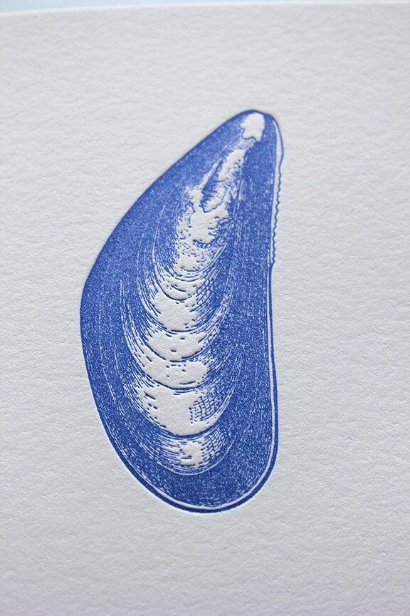 Mussel Letterpress Card Set